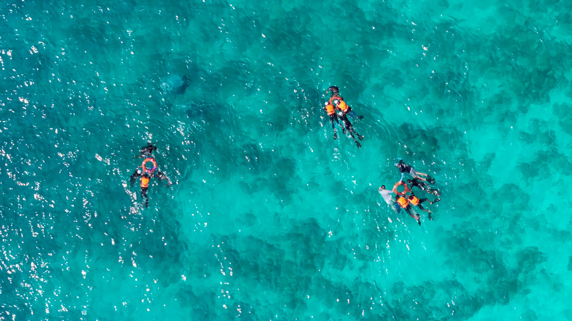 under-the-wave-students-swimming